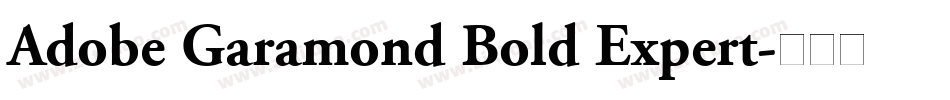 Adobe Garamond Bold Expert字体转换